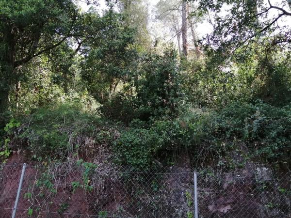 Terreno en calle del Xarel·lo, 14