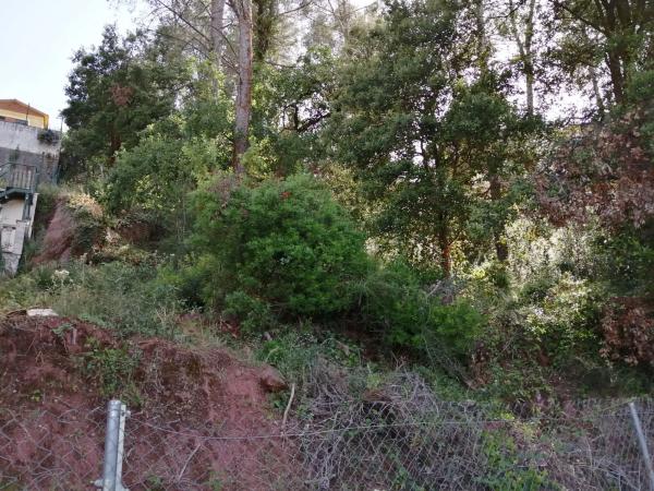 Terreno en calle del Xarel·lo, 14