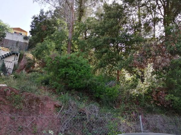 Terreno en calle del Xarel·lo, 14