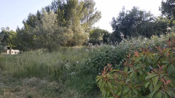 Terreno en Collbató