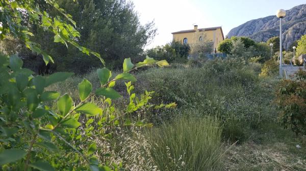 Terreno en Collbató