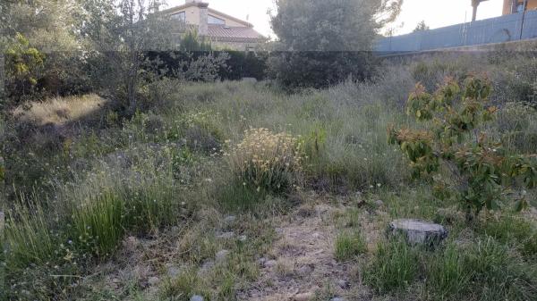 Terreno en Collbató