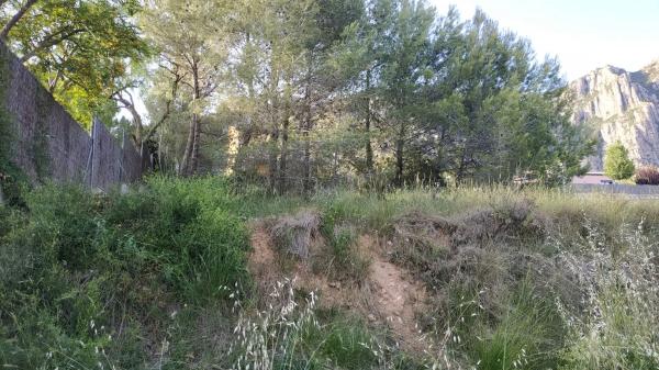 Terreno en Collbató