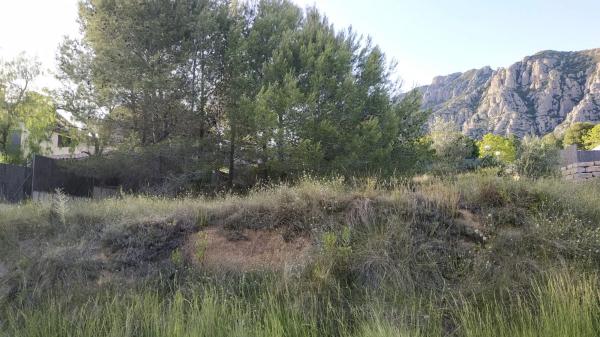 Terreno en Collbató