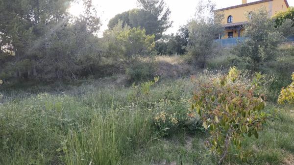 Terreno en Collbató
