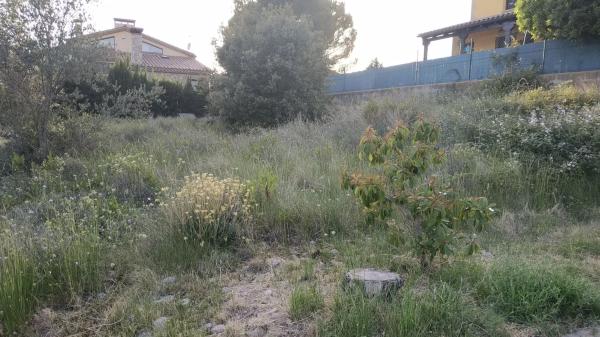 Terreno en Collbató