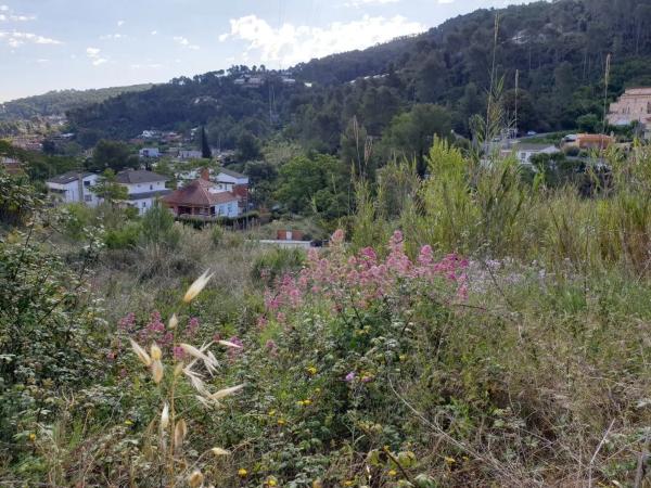 Terreno en Passatge de Sant Lluís