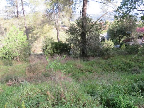 Terreno en avenida el Taió