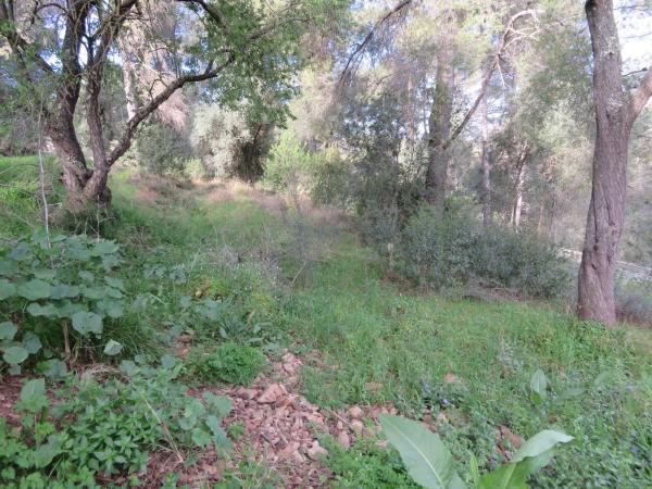 Terreno en avenida el Taió