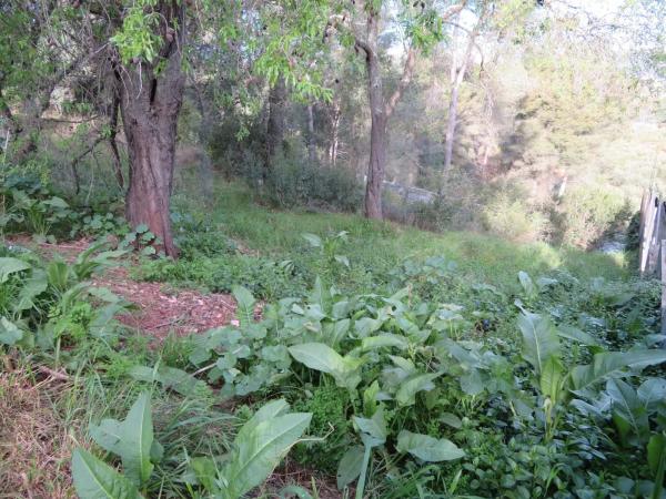 Terreno en avenida el Taió
