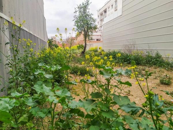 Terreno en Olesa de Montserrat