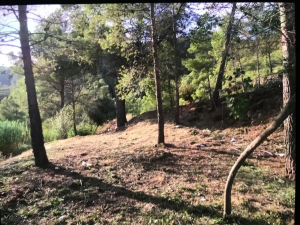 Terreno en calle Port de la Bonaigua, 17