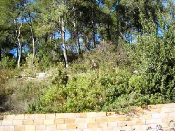 Terreno en Vallirana