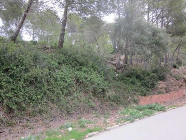 Terreno en Vallirana