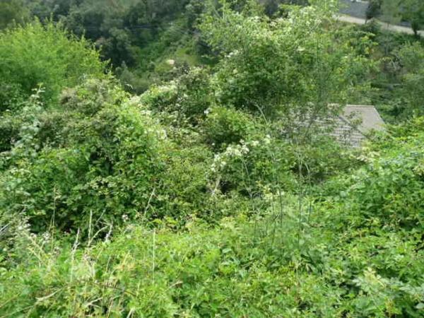 Terreno en Corbera de Llobregat