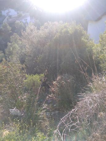 Terreno en calle Paissos Catalans, 351