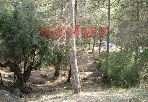 Terreno en La Palma de Cervelló