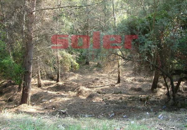 Terreno en La Palma de Cervelló