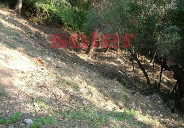Terreno en La Palma de Cervelló