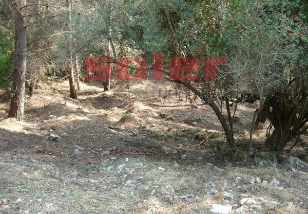 Terreno en La Palma de Cervelló