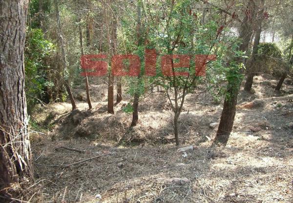 Terreno en La Palma de Cervelló