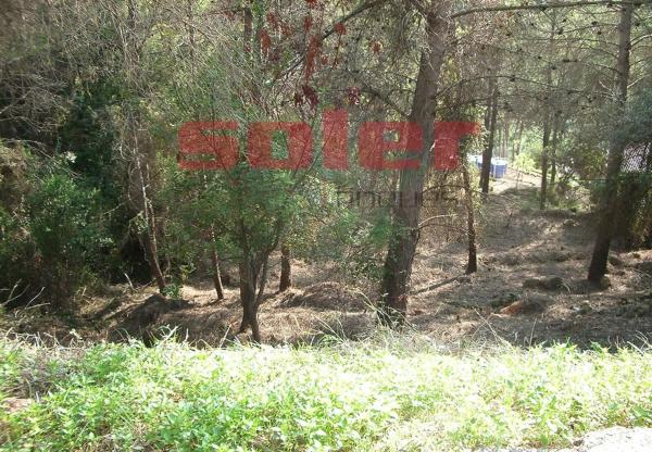 Terreno en La Palma de Cervelló