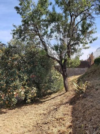 Terreno en avenida Vallserrat