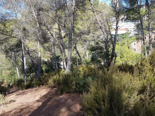 Terreno en calle Antic de Sant Ponç, 26