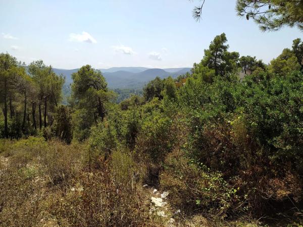 Terreno en calle de Ripoll, 6