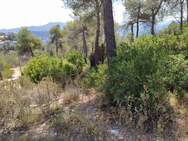 Terreno en calle de Ripoll, 6