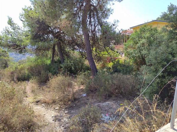 Terreno en calle de Ripoll, 6