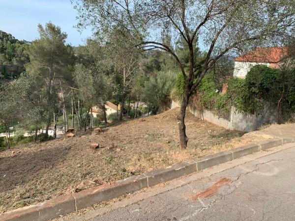 Terreno en calle Cervera, 6