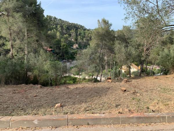 Terreno en calle Cervera, 6