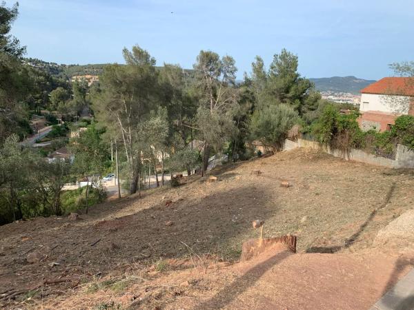 Terreno en calle Cervera, 6