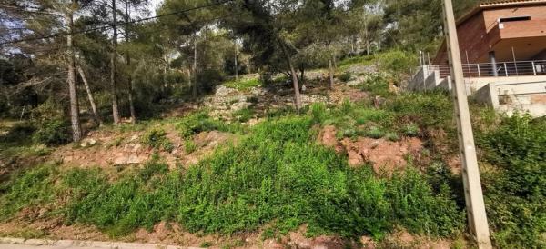 Terreno en calle Miramar, 27