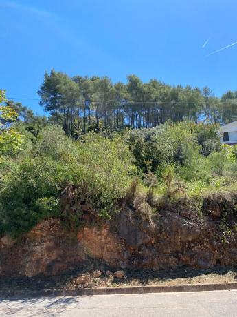 Terreno en avenida dels Pinars, 61