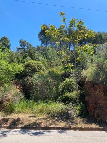 Terreno en avenida dels Pinars, 61