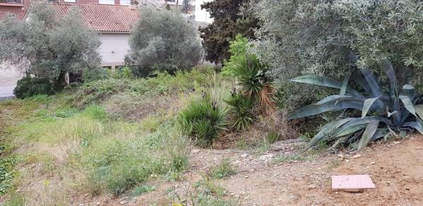 Terreno en Montserrat Roig, 13