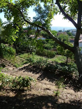 Terreno en calle del Doctor Pedro Pons, 4