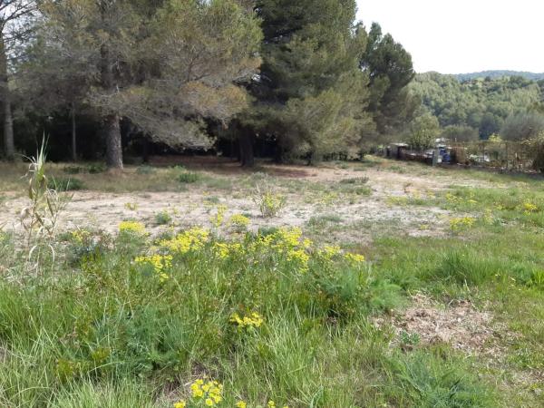 Terreno en calle de l'Ametller, 11