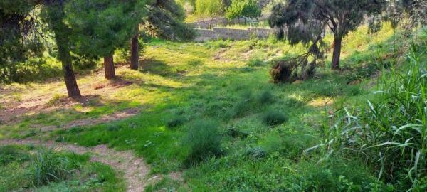 Terreno en Mas d'en Gall