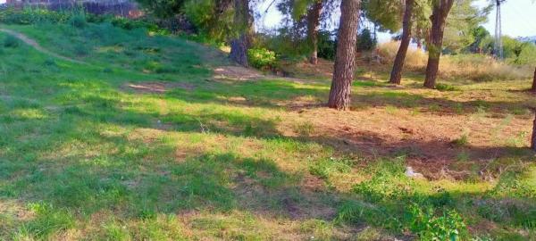 Terreno en Mas d'en Gall