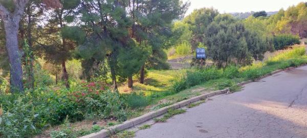 Terreno en Mas d'en Gall