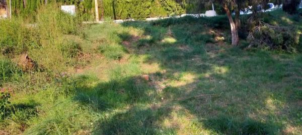 Terreno en Mas d'en Gall