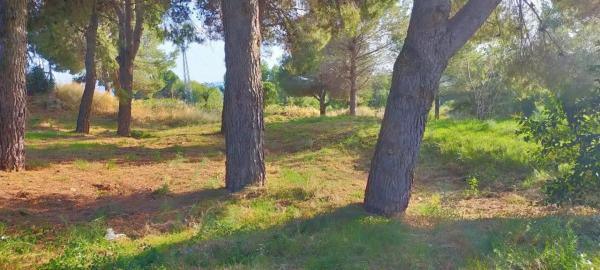 Terreno en Mas d'en Gall