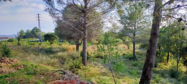 Terreno en Mas d'en Gall