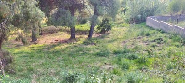 Terreno en Mas d'en Gall