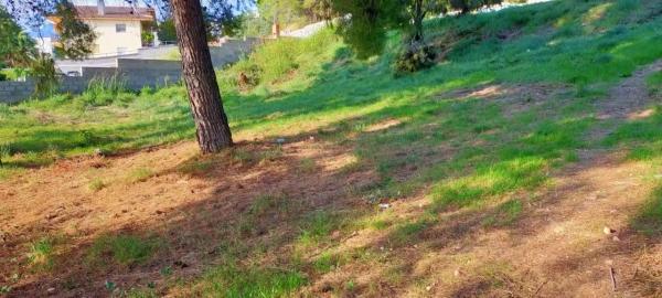 Terreno en Mas d'en Gall