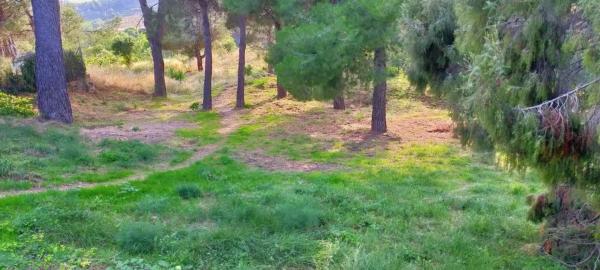 Terreno en Mas d'en Gall