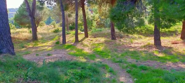 Terreno en Mas d'en Gall